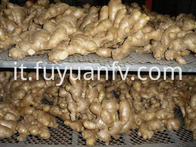 air dried ginger 